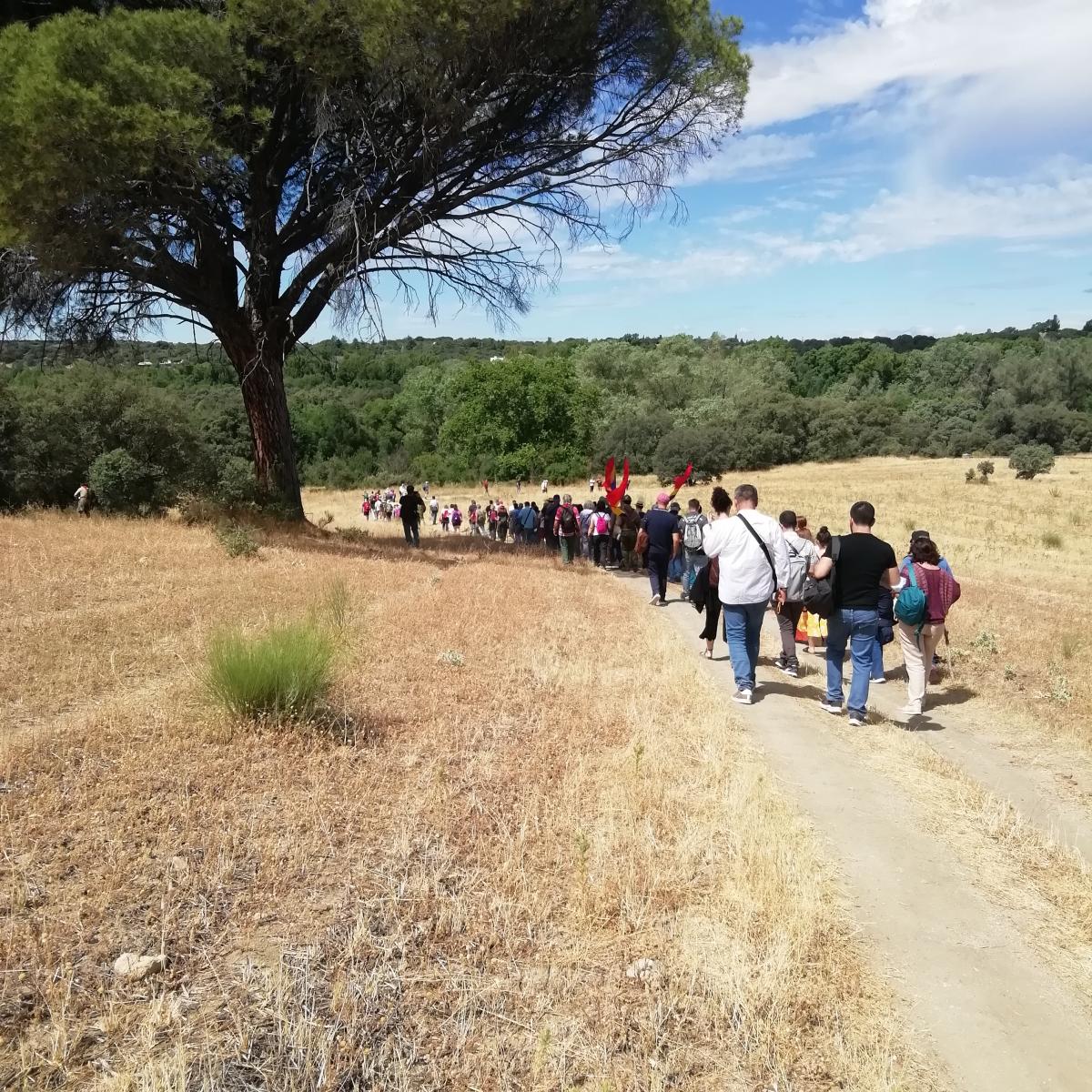 El Taller de Medio Ambiente en el Cerro Romanillos, escenario de la batalla de Brunete