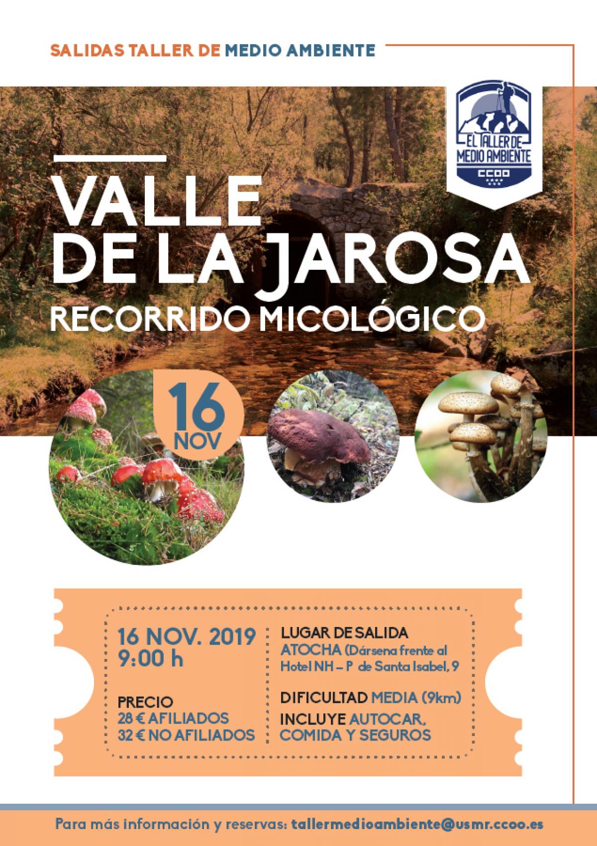 Taller de Medio Ambiente: Valle de la jarosa. Recorrido micológico
