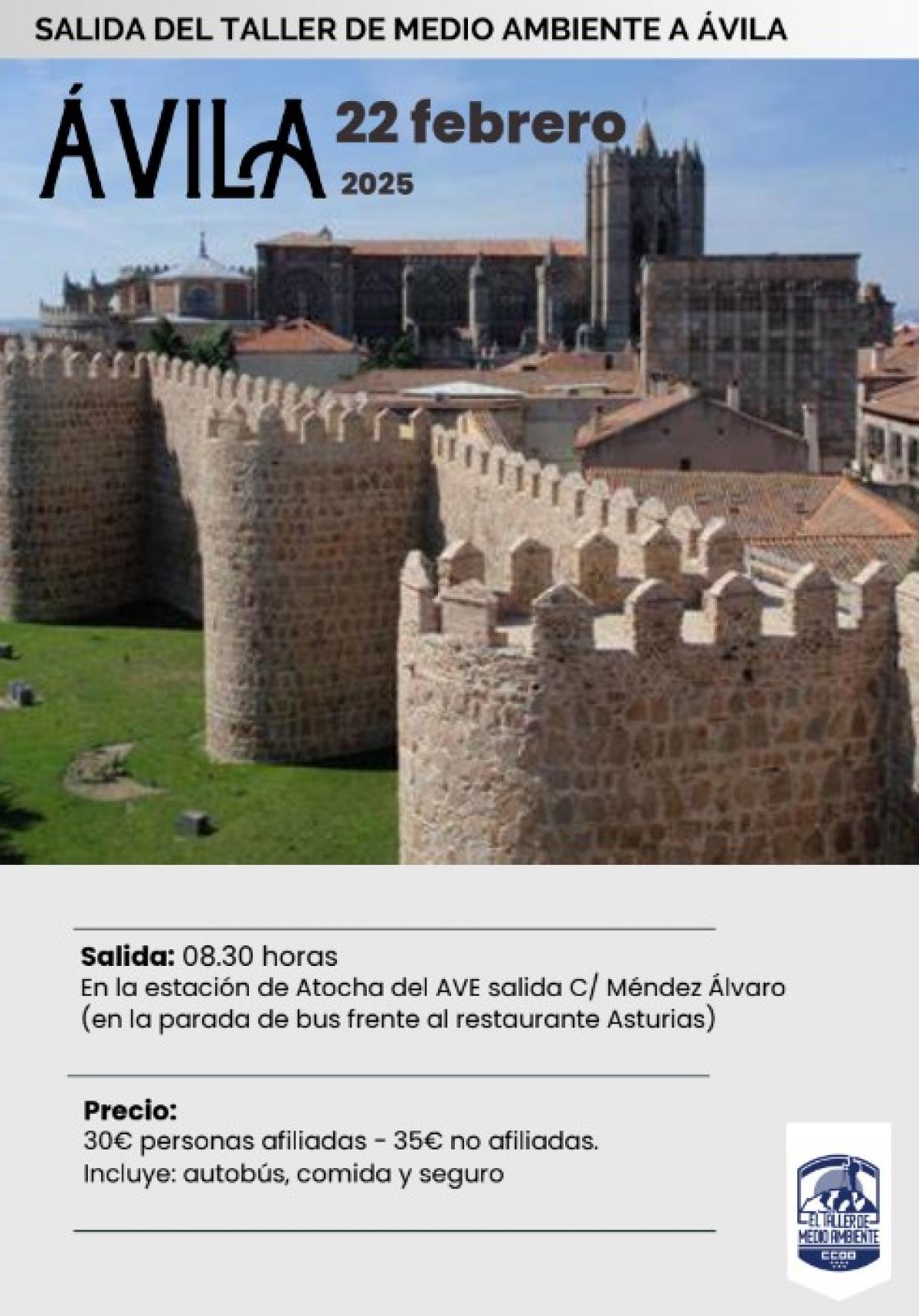 El Taller de Medio Ambiente de CCOO Madrid visitará Ávila