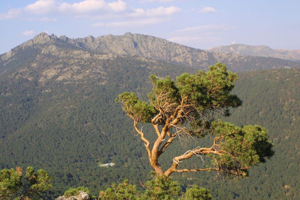 Sierra de Guadarrama