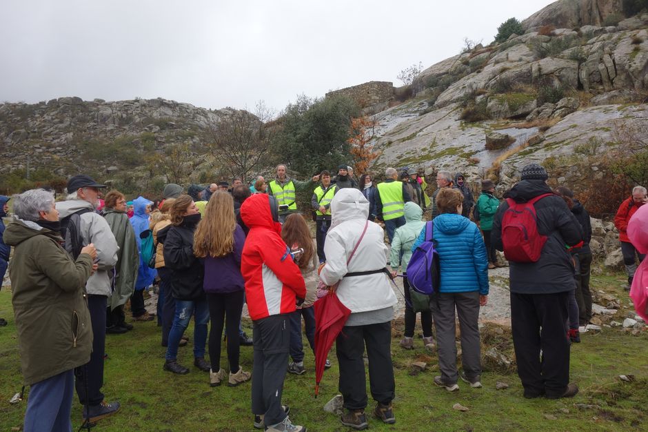 Taller de Medio Ambiente Bustarviejo