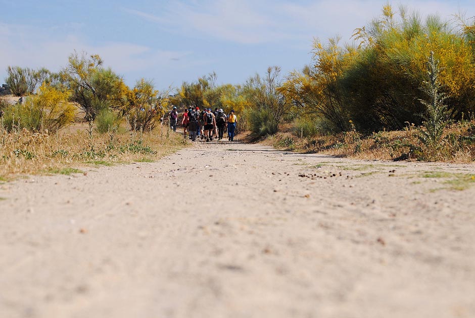 Excursion a Quijorna