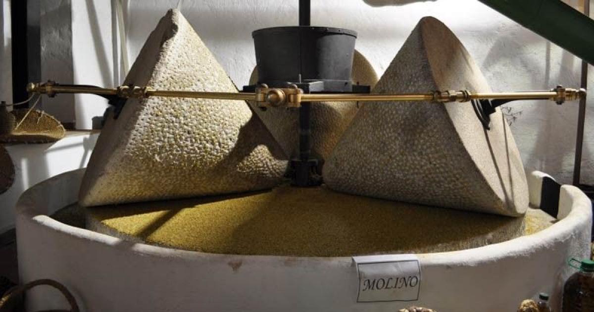 Taller de Medio Ambiente 19 febrero 2022